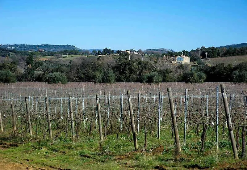 Villa Via Bolgherese Bibbona Italia